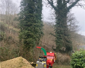 Élagage, Démontage et Taille d'arbres par Mik'Arbre élagage