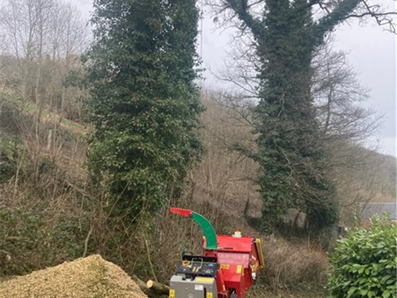 Élagage, Démontage et Taille d'arbres par Mik'Arbre élagage