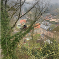 Élagage, Démontage et Taille d'arbres par Mik'Arbre élagage