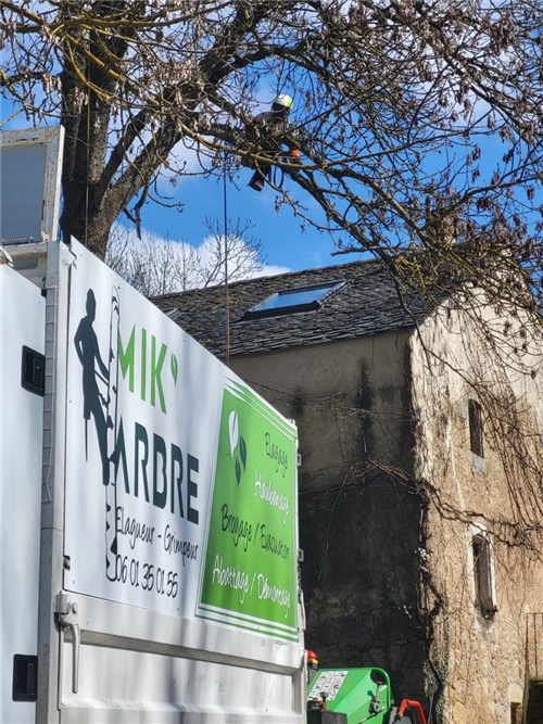 Elagueur, spécialiste soins et taille des arbres, Millau Aveyron