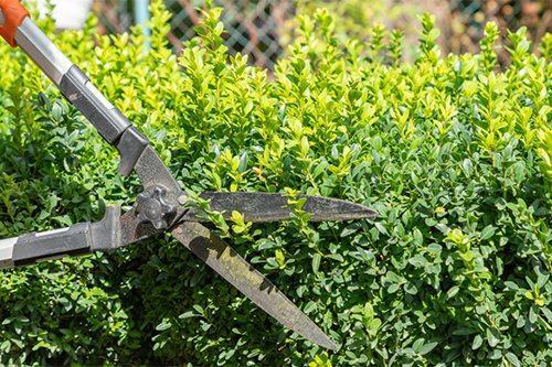 Professionnels Collectivités